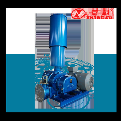 SSR Roots Vacuum Pump Roots Booster Vacuum Pump Untuk Proses Misi Kritis