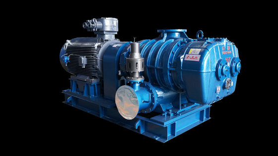 Pemotong Edge Engineering Roots Vacuum Pump Single Stage Untuk Meningkatkan Efisiensi